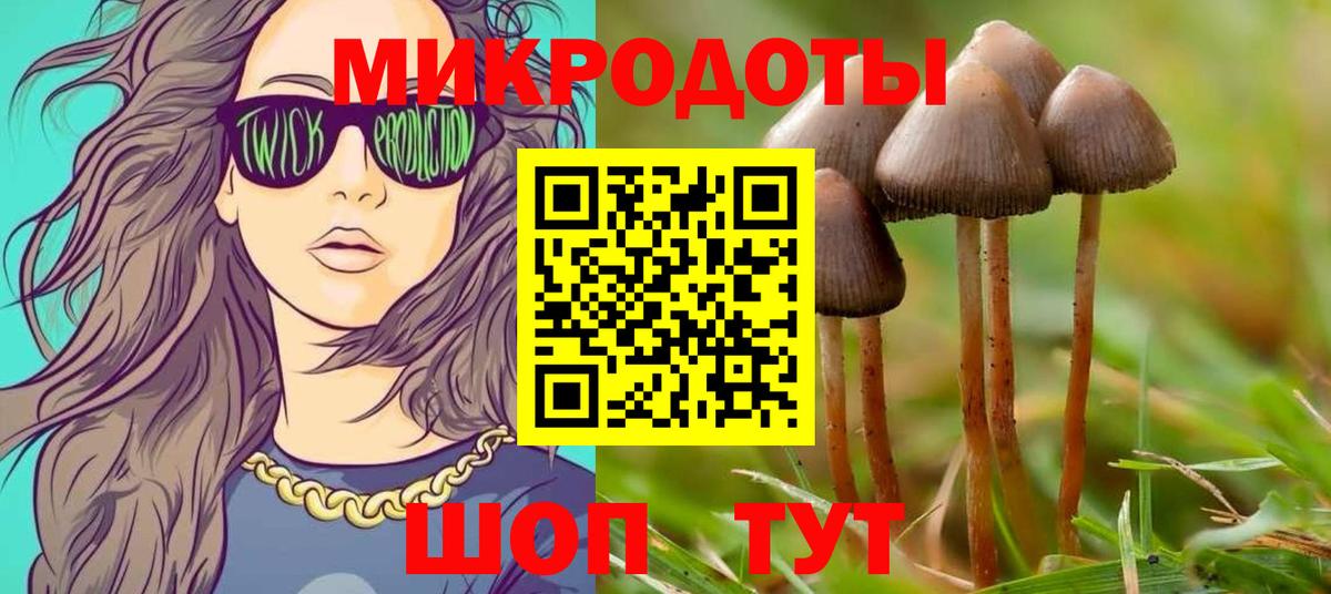 Санкт-Петербург  Псилоцибиновые грибы Magic Shrooms  Вход с VPN 