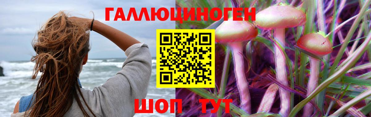 Псилоцибиновые грибы прущие грибы Санкт-Петербург